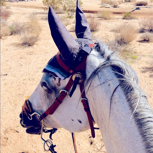 Horze Other - Horze cocoa ear net fly bonnet full size